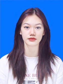 Hoàng Vũ Phương Anh