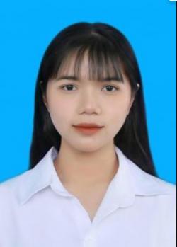 Nguyễn Vũ Hoàng Anh