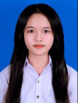 Văn Nguyễn Linh Chi