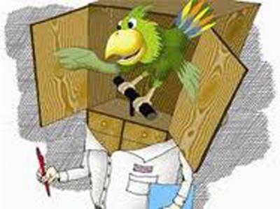 Con học vẹt vì sao ?